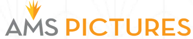 AMS Pictures logo