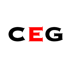 Cinnamon Entertainment Group LLC logo