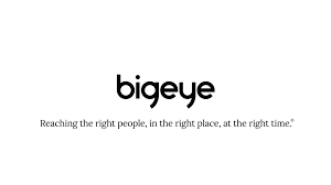 Bigeye logo