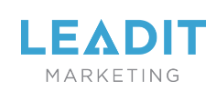 Leadit Marketing logo