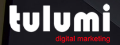 Tulumi Digital Marketing logo