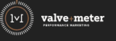 Valve+Meter Performance Marketing logo